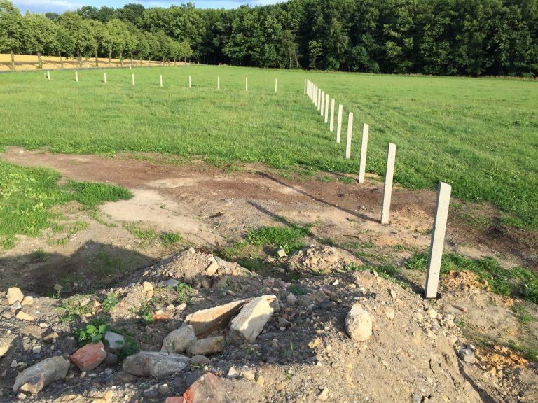 Betonsäulen stehen auf einer grünen Wiese und im Hintergrund ein Wald