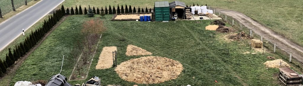 Eine grüne Wiese auf der Pferdemist in kreisform lagert. Bäume stehen auf der Wiese.