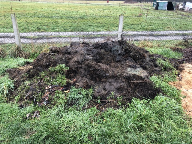Verrottender Haufen Rasenschnitt auf einer Wiese.