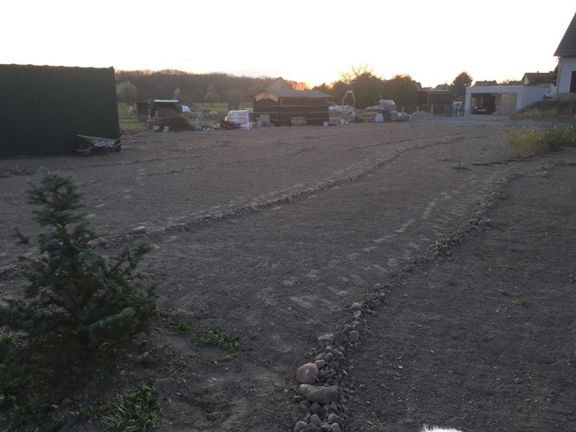 Eine Reihe von Steinen liegen auf einem Acker. Ein kleiner Nadelbaum steht am Rand.