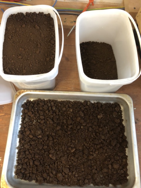 Drei Eimer, die mit trockenem Kaffeepulver gefüllt sind.