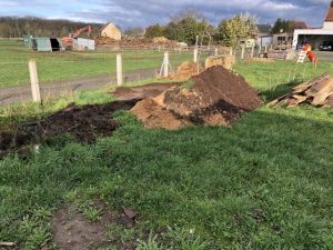 2 Haufen mit Sägespäne und Holzhackschnitzel.