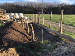 Holzpfosten stehen senkrecht in Löchern