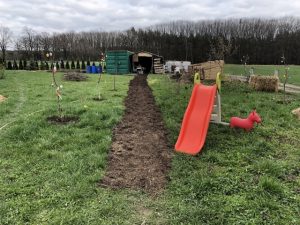 Ein Weg aus Holzhackschnitzeln auf einer grünen Wiese.